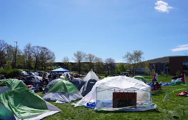 Binghamton University students join other Israel-Hamas war protests around the state