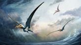 Raros ossos de 100 milhões de anos revelam novo pterossauro na Austrália