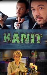 Kanıt (TV series)