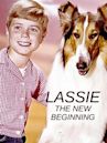 Unsere Lassie