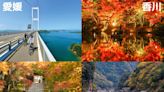 Resumption of the Takamatsu (Kagawa prefecture in Shikoku, Japan) - Hong Kong route (scheduled flights)