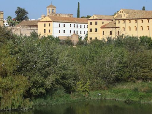 Propuestas verdes para la Córdoba del futuro: "Sería interesante hacer un proyecto de naturalización del río Guadalquivir"