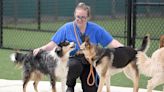 Pet Paradise chooses Chattanooga area for its 60th ‘resort’ | Chattanooga Times Free Press