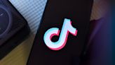 TikTok is suing the US government to stop a law that bans the app