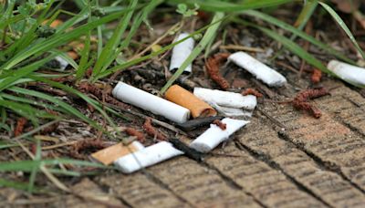 Neighbour's clever revenge on mum refusing to clear cigarette ends from garden