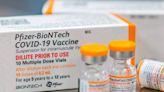 UK regulator authorises updated Pfizer-BioNTech COVID shot targeting JN.1 strain - ET HealthWorld | Pharma