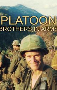 Platoon: Brothers in Arms