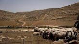 Israel Palestinians Sanctioned Settlers