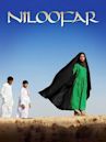 Niloofar