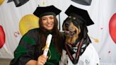 Dedicated service and therapy dogs receive honorary ‘dogtorate’ degrees from the University of Maryland, Baltimore