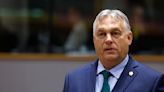 Hungary's 'sovereignty protection' office launches investigation into Transparency International