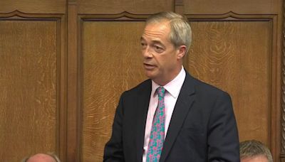 Farage uses first speech to insult ex-speaker as new parliament meets