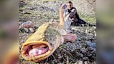 Un siluro de 2,5 metros, pescado en el pantano de Iznájar