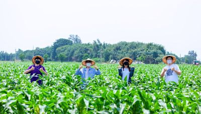 成果超亮眼！朝陽科大勇奪天下USR大學公民獎私立技職全台第一