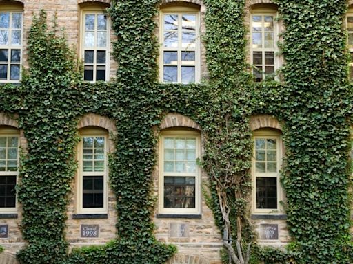 These universities may be the 'new ivy' league schools, Forbes says, and several are in the Midwest