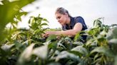 Syngenta Extends Leadership in Fungicides with ADEPIDYN® Technology