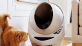 Kitty, Meet Robot. The Best Self-Cleaning Litter Boxes Take One More Task Off Your To-Do List