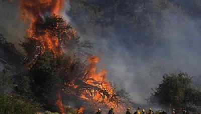 Wildfire wreaks havoc near northwest of Los Angeles damaging more than 10,000 acres