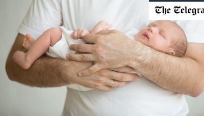 Gay couple tried to stop surrogate mother seeing biological son