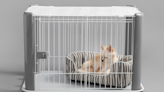 Properly crate training puppies will pay big dividends for adult dogs | Pet Peeves