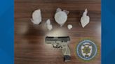 Investigators find fentanyl, cocaine, stolen gun in Kalamazoo home