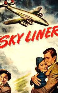 Sky Liner (film)