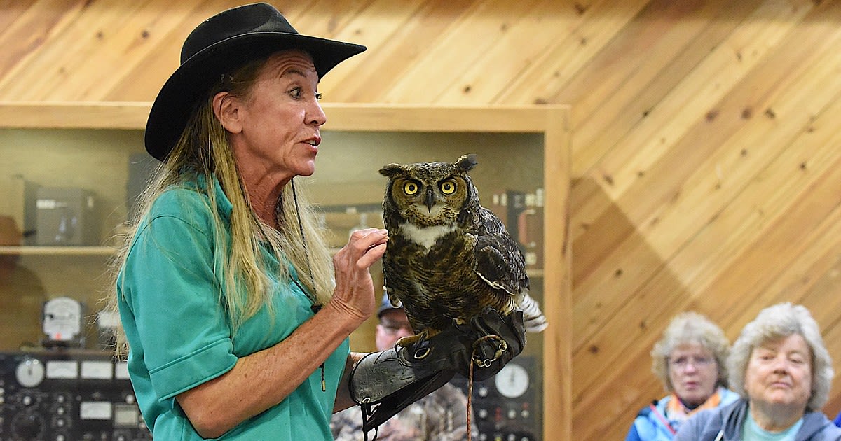 Birds of prey enthrall local nature lovers