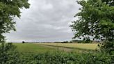 The tiny Cambs village with an alpaca farm and an annual tractor tug of war