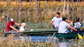 Florida Family's Lake Day Turns Into Rescue Mission After They Spot a Dog Trying to Stay Afloat