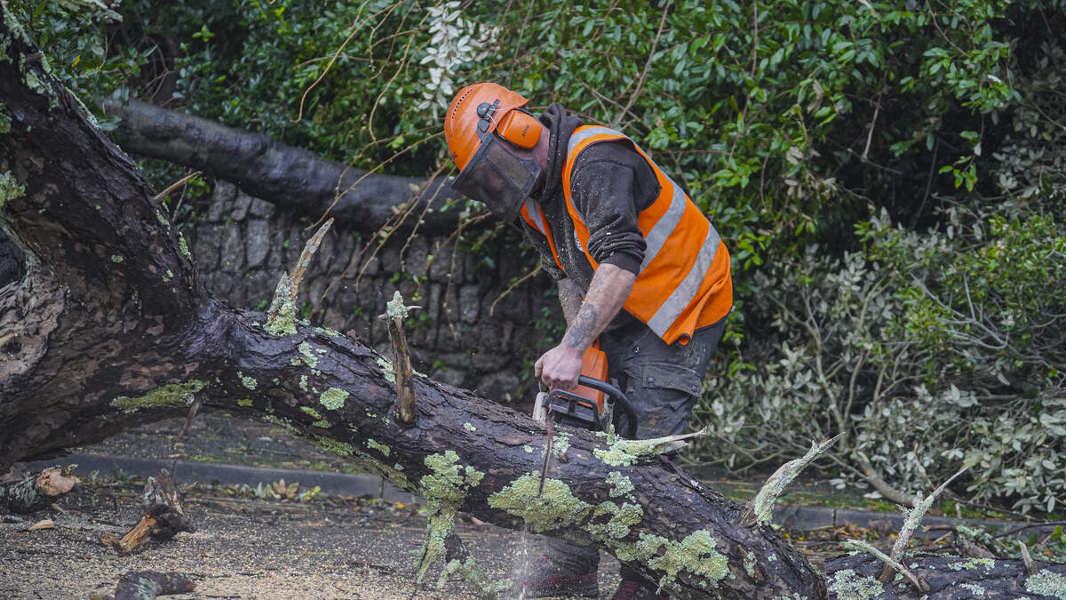 Monday Morning Rains Close Some Omaha Tree Drop-Off Sites | NEWSRADIO 1040 WHO