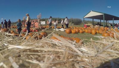 Beck's Harvest House 'Fall Harvest Festival' begins September 21