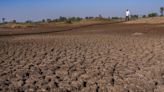 India's agriculture faces concerns as monsoon rains a fifth below normal