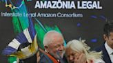 ‘Brazil is back in the world’: President-elect Lula gets rock-star welcome at Cop27 and vows to save Amazon