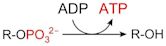 Substrate-level phosphorylation