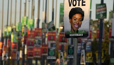 As South Africa election nears, one candidate ditches political parties to go it alone