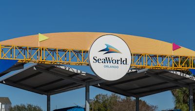 SeaWorld Orlando Unveils Opening Date for New Roller Coaster