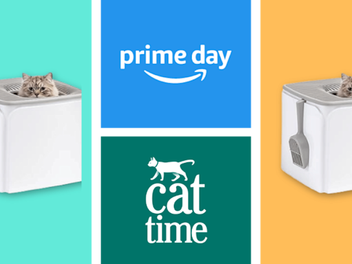 Meowsome Deal: IRIS Top Entry Cat Litter Box with Scoop — Prime Day 2024