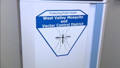 Thousands of sterilized mosquitoes released throughout Inland Empire