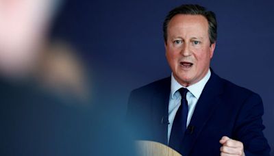 UK system of arms exports to Israel not the same as U.S., Cameron says