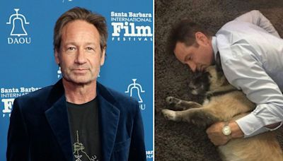 David Duchovny's heartbreaking poem in memory of his dog has fans 'weeping'