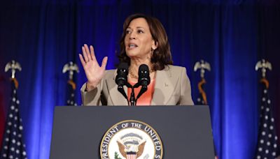 Harris to appear as sole candidate for Dem presidential nomination on virtual roll call