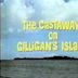 The Castaways on Gilligan's Island