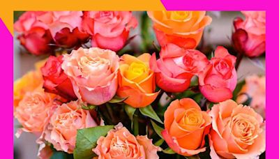 Make Mom smile this Mother’s Day with 24 colorful roses for only $25