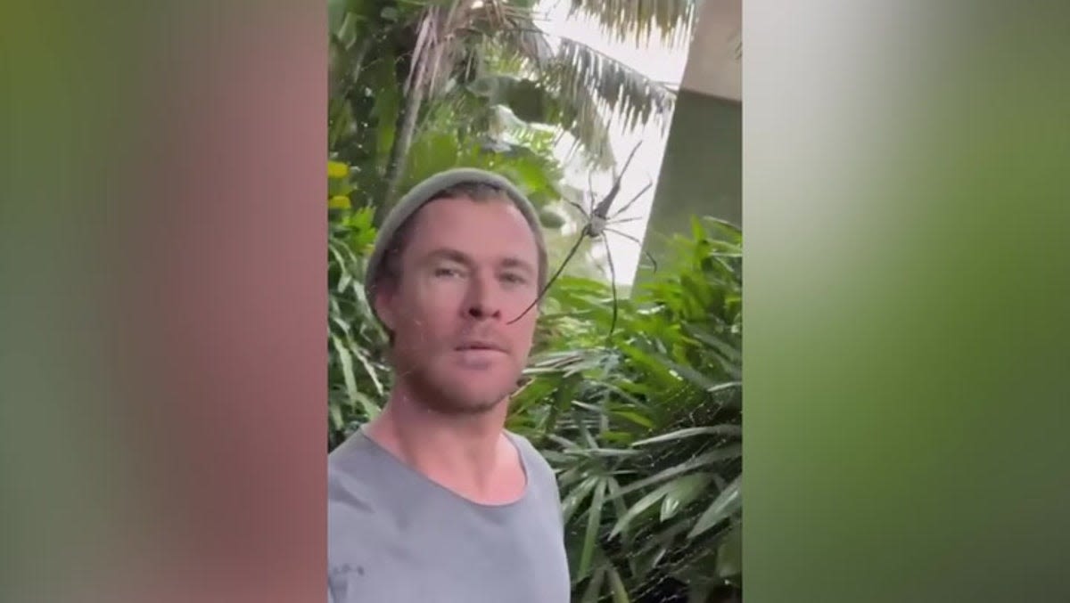 Chris Hemsworth shares close encounter with massive spider