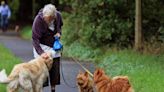 Owning a pet may slow rate of cognitive decline, study suggests