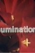 Illuminations (film)