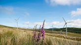 Wind farms generated 34% of Ireland's total electricity demand in the first half of the year