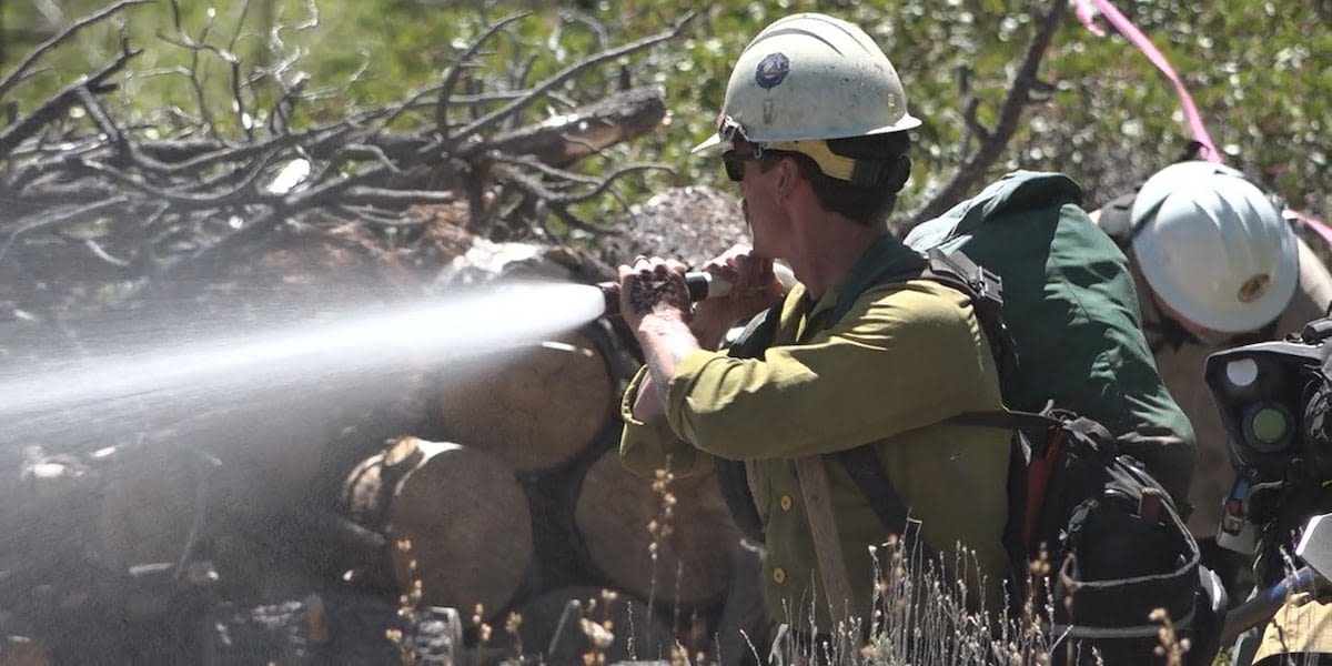 Wildfires: Nevada Division of Forestry trains future firefighters