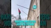 Palestinian Flag Hoisted At #Harvard As US University Protests Escalate - #Israel #Gaza