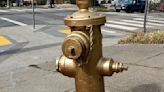 Hundreds of Los Angeles fire hydrants stolen as fire season starts